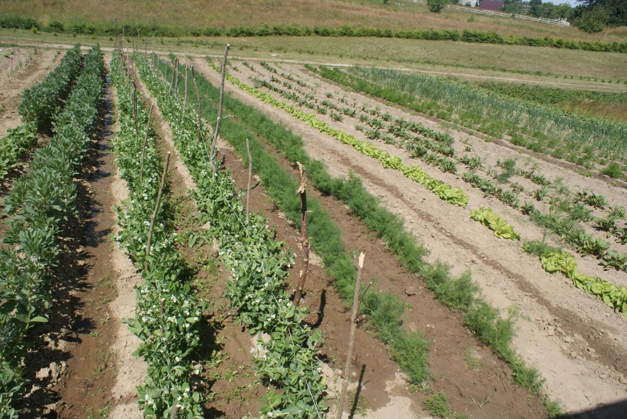 Agrodomki Okej -Dom Koko Gardna Wielka Esterno foto